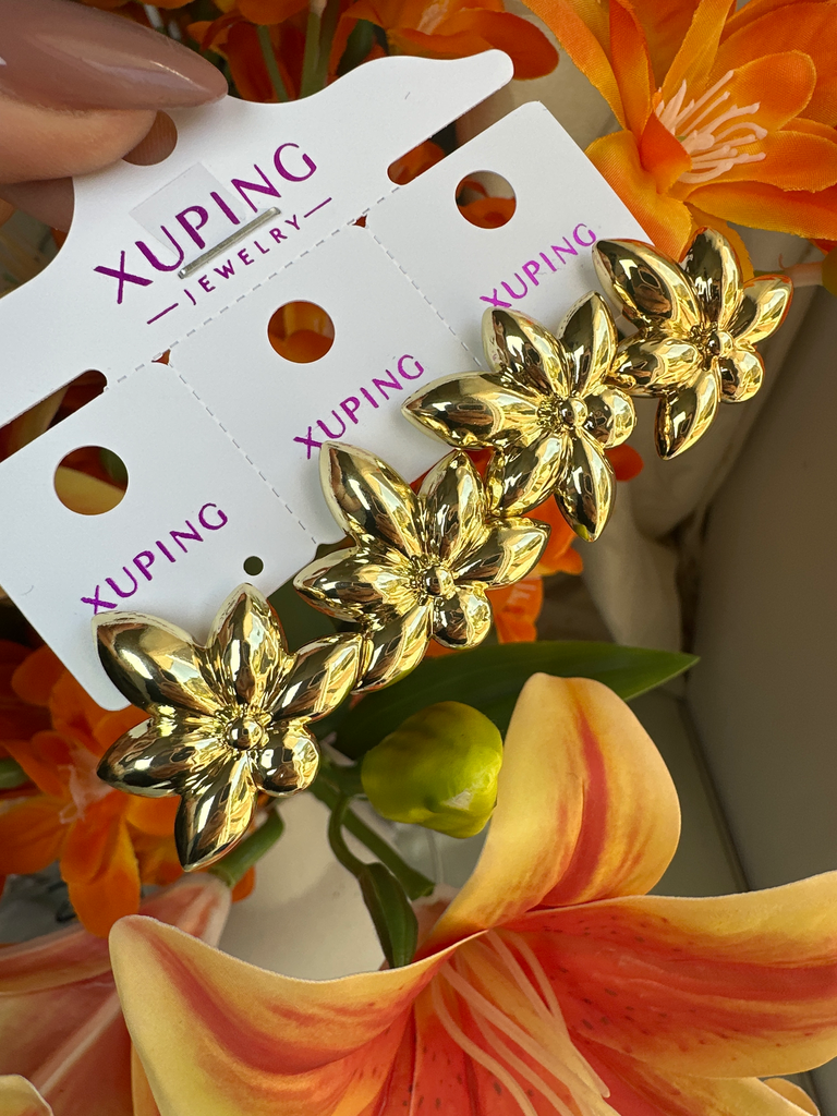 [2684] Aretes Xuping