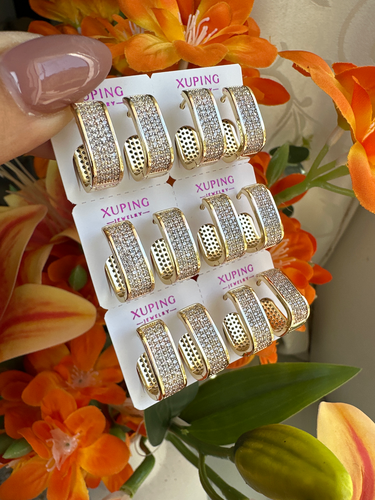 [2685] Aretes Xuping