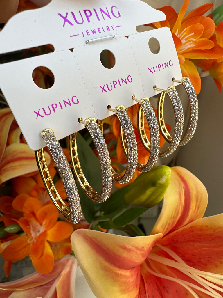 [2694] Aretes Xuping